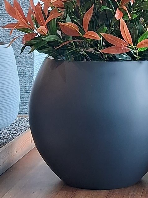 MAYA Round FRP Planter – Premium Quality & Elegant Design