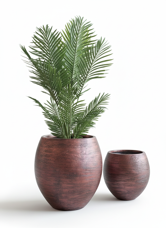 Two wooden planters with a green plant on a white background