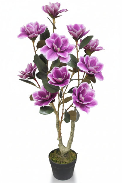 Potted plant with purple flowers on a white background