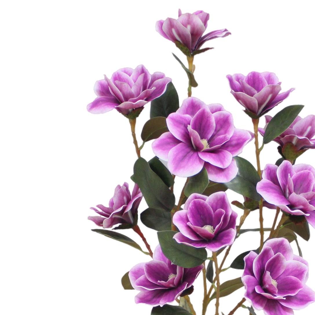 Purple flowers with green leaves on a white background