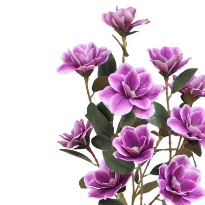 Purple flowers with green leaves on a white background