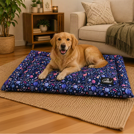 Premium Printed Dog Mat Galaxy