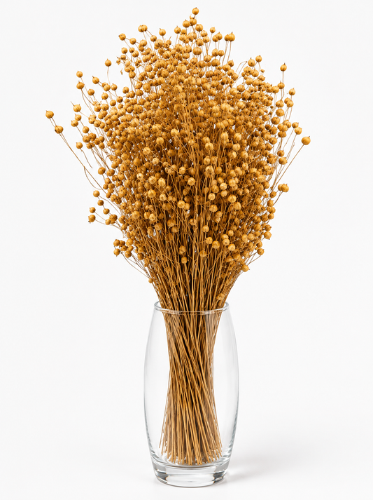 Natural Dried Linum (Flax) Grass Bundle