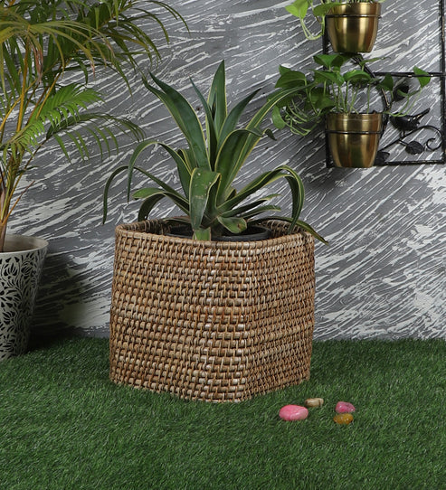 Navya Handcrafted Rattan Planter