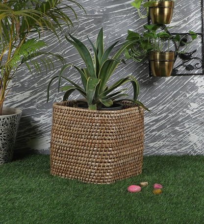Navya Handcrafted Rattan Planter