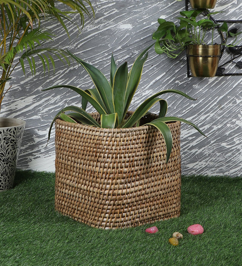 Navya Handcrafted Rattan Planter