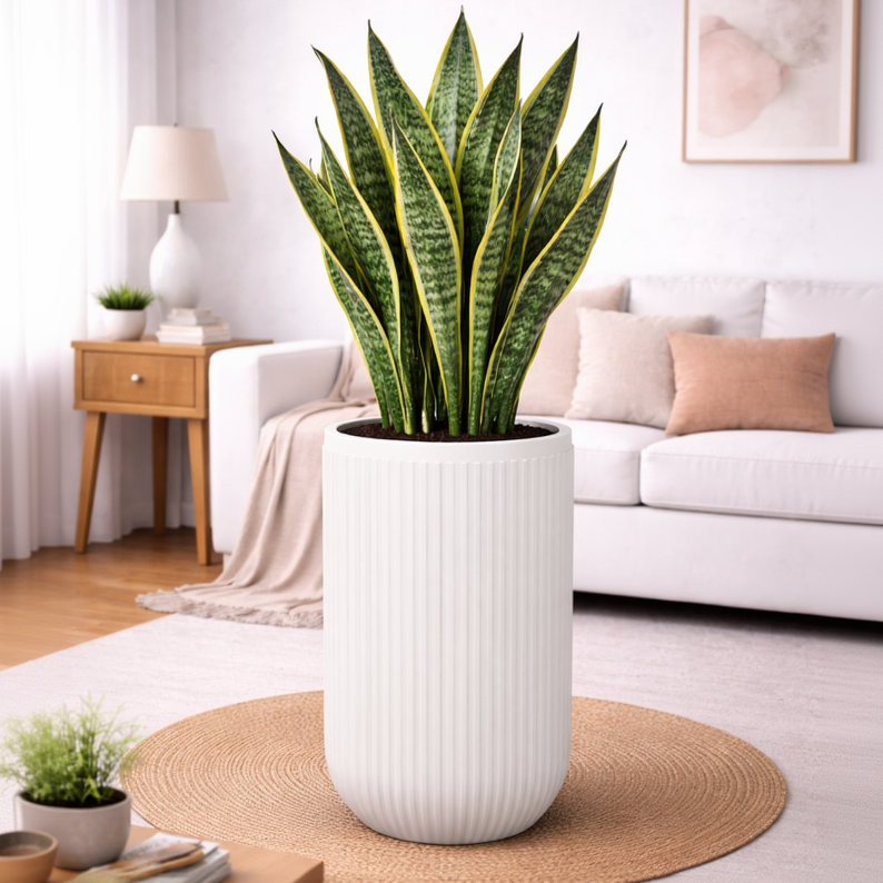 Orchid- Fiberglass Planter