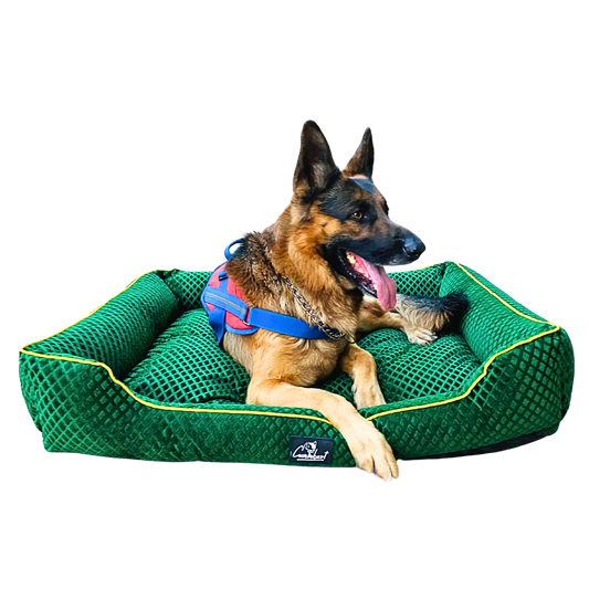 Premium Pattern Lounger Pet Bed