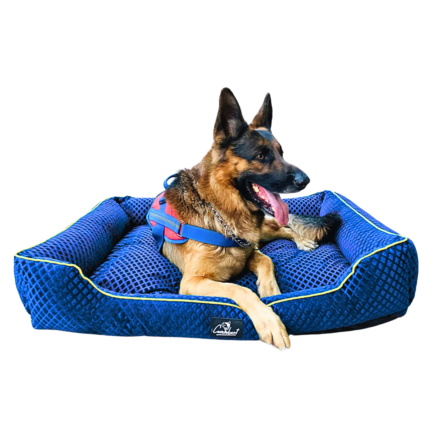 Premium Pattern Lounger Pet Bed