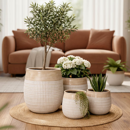 Pineapple Fiber Planters