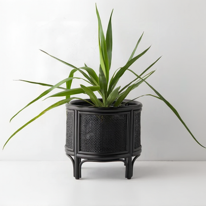Adah Handcrafted Rattan Planter with Integrated Stand