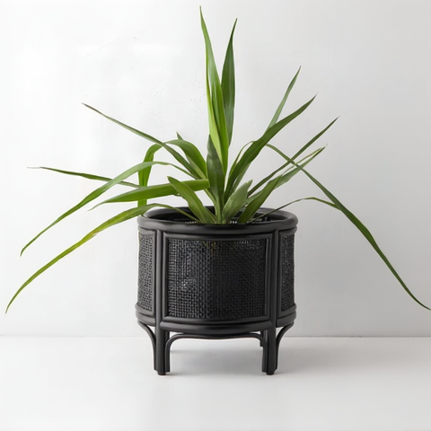 Adah Handcrafted Rattan Planter with Integrated Stand