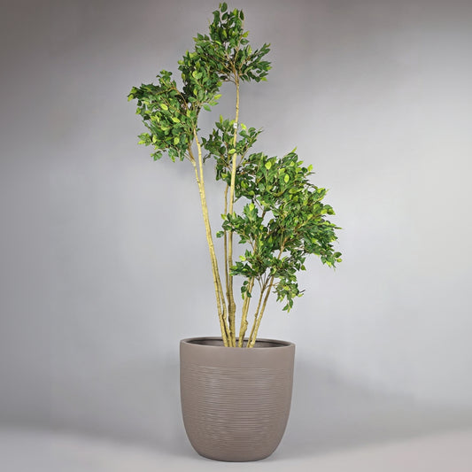 Potted plant with green leaves in a gray pot on a gray background