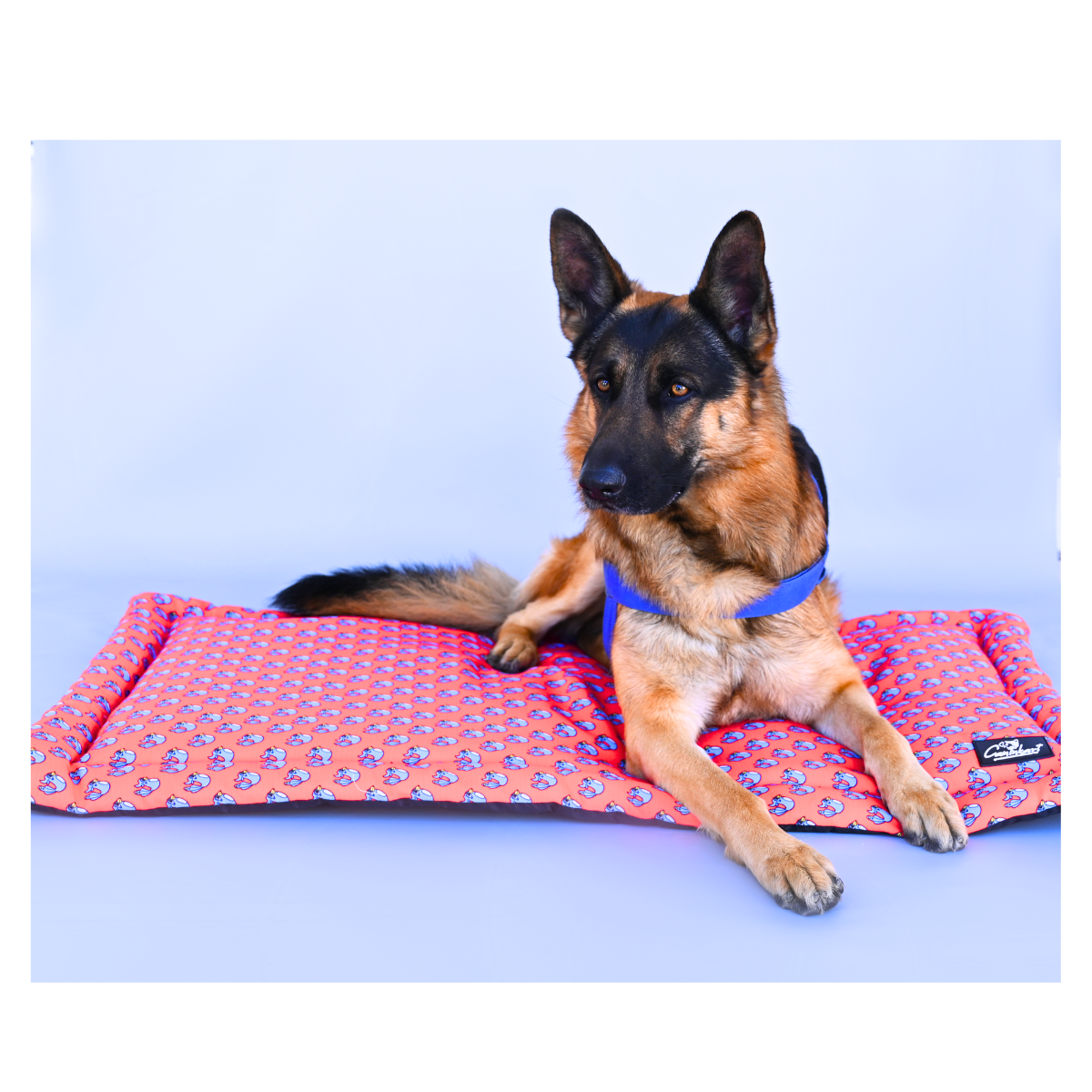 Premium Printed Dog Mat