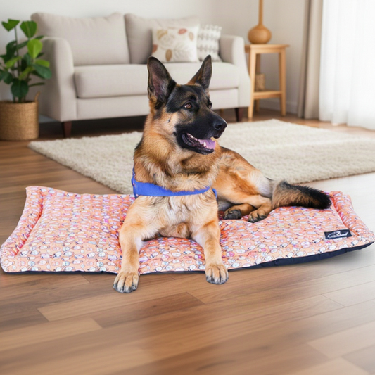 Premium Printed Dog Mat Ice pop