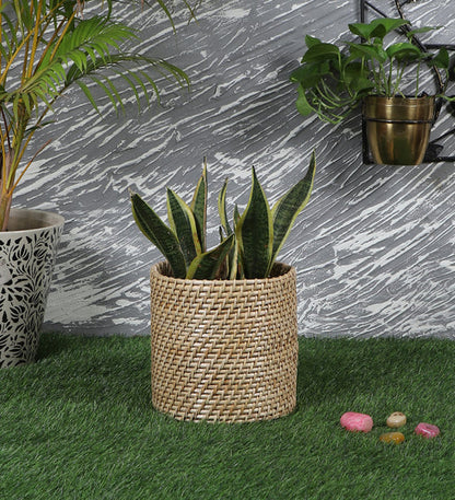 Mirai Handcrafted Rattan Planter
