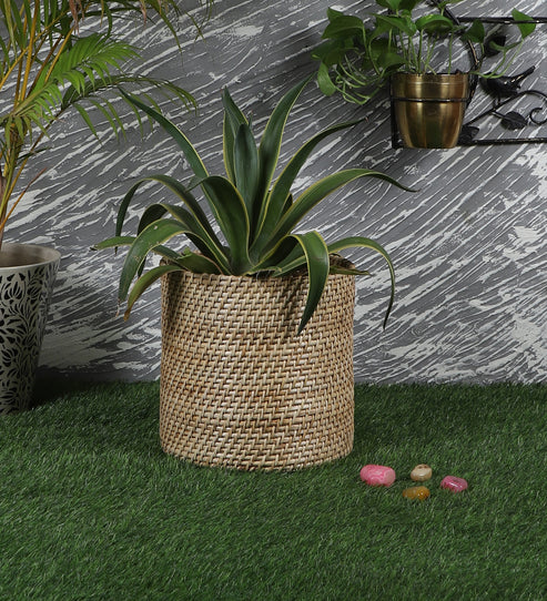 Mirai Handcrafted Rattan Planter