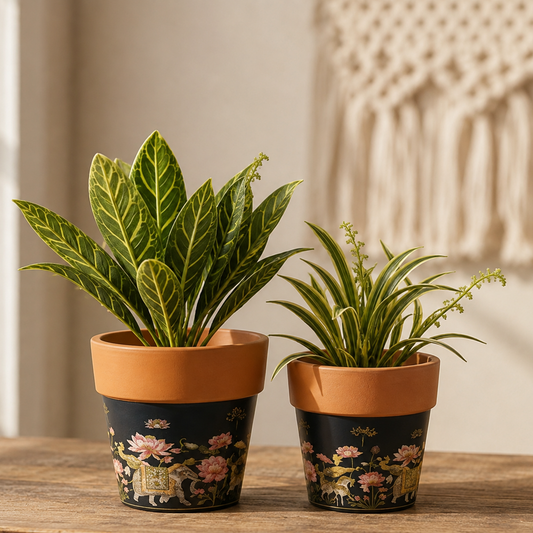 Royal Lotus Elephant Terracotta Planter Set