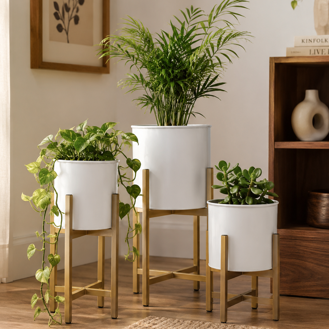 Set of 3 Modern Cylinder Planters on Tiered Metal Stands