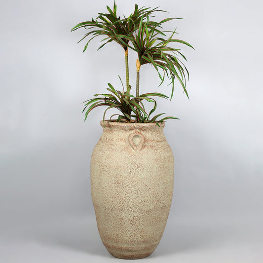 Tall beige ceramic vase with a plant on a light gray background