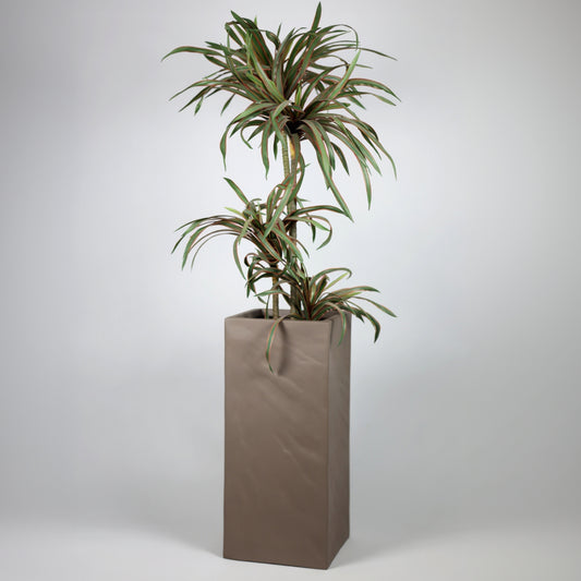 Tall rectangular planter with a spider plant on a plain background