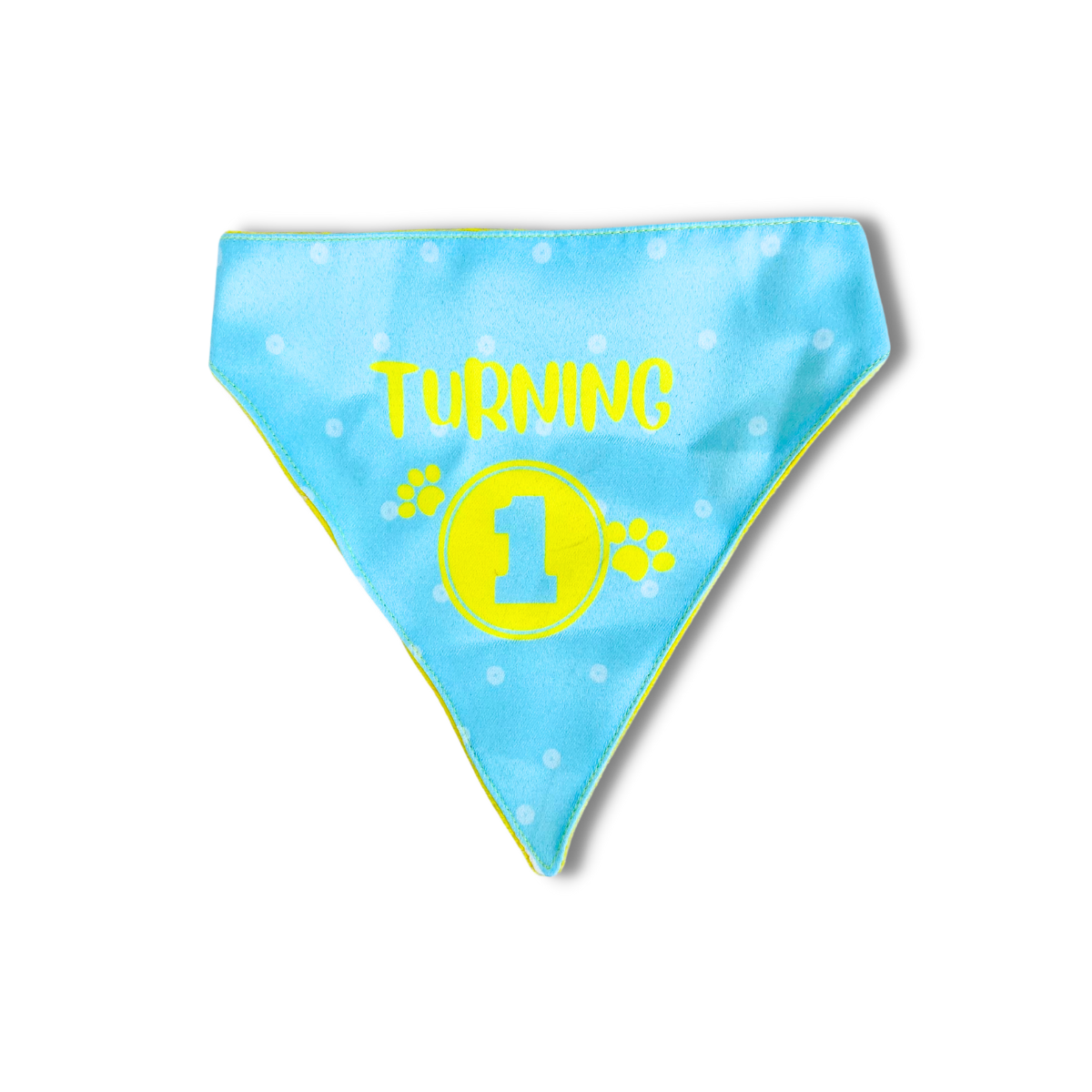 Pet Dog Bandana Turning 1