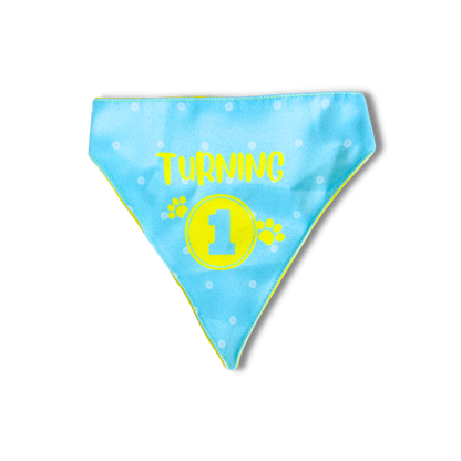 Pet Dog Bandana Turning 1