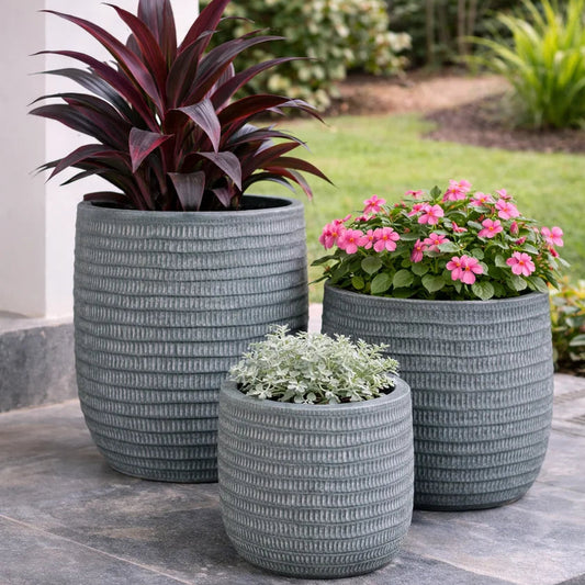 Venus Fiber Planters Premium FRP
