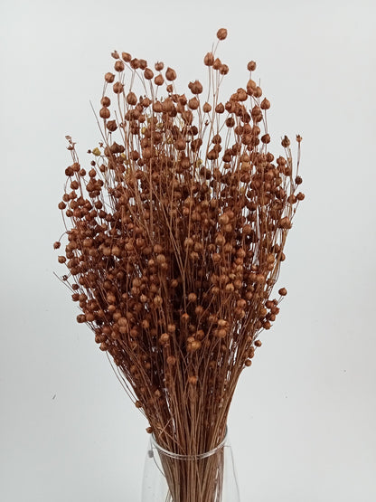 Light Brown Dried Linum (Flax) Bundle