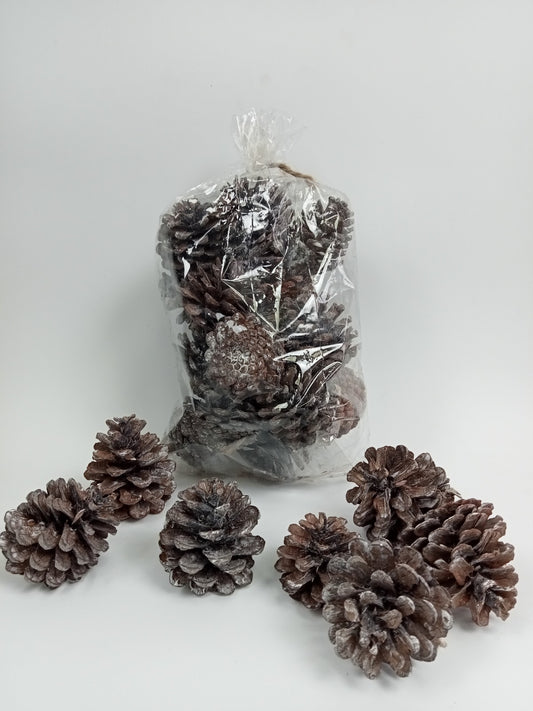 Natural Frosted Pine Cones