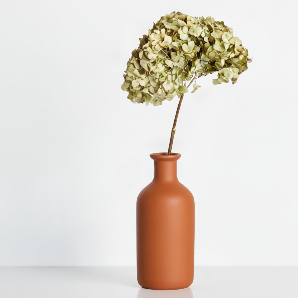 Preserved Natural Hydrangea Stems