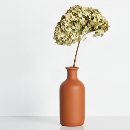 Preserved Natural Hydrangea Stems