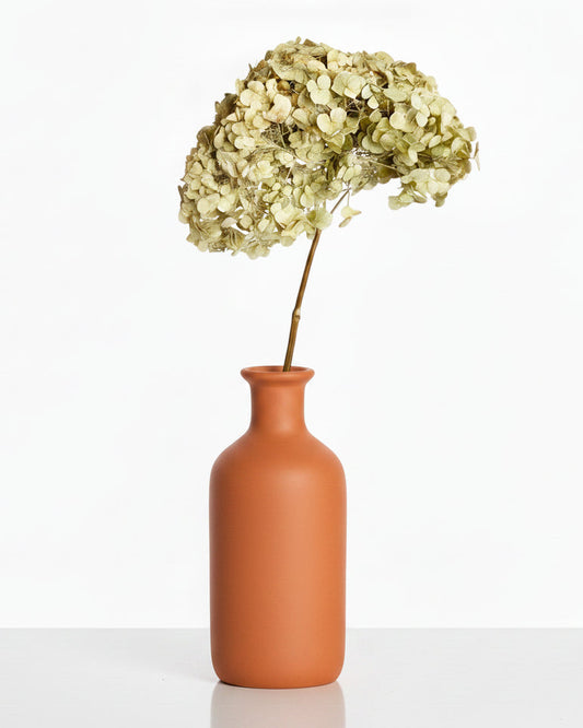 Preserved Natural Hydrangea Stems