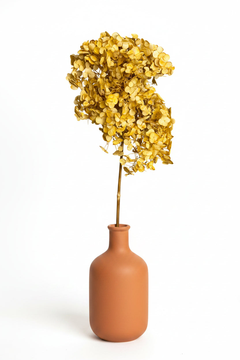 Preserved Natural Hydrangea Stems