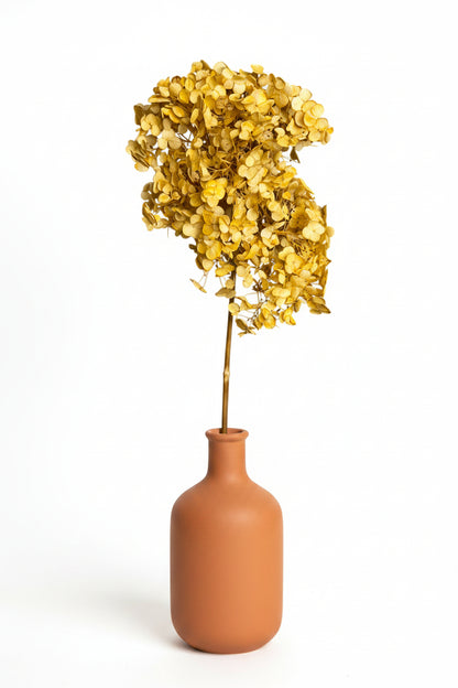 Preserved Natural Hydrangea Stems