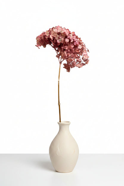 Preserved Natural Hydrangea Stems