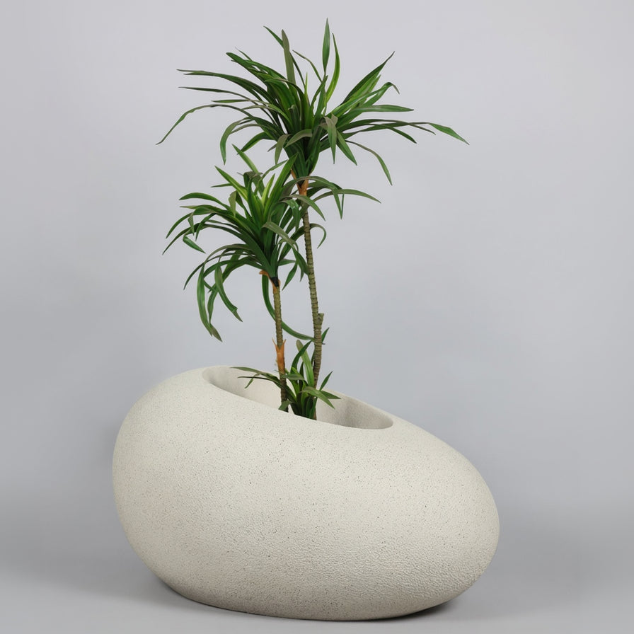 White textured planter with a green plant on a light gray background