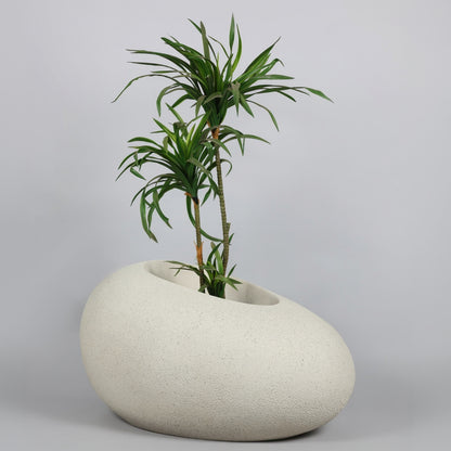 White textured planter with a green plant on a light gray background