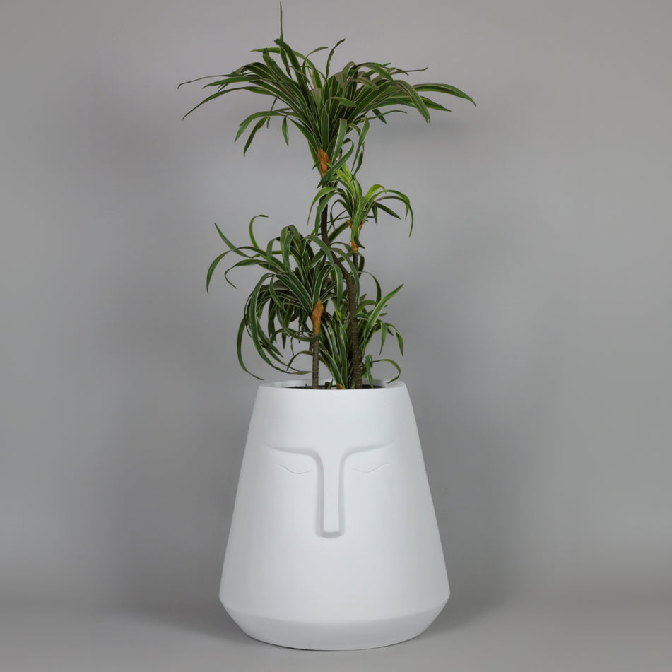 White vase-shaped planter with a plant on a gray background