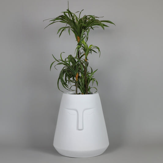 White vase-shaped planter with a plant on a gray background