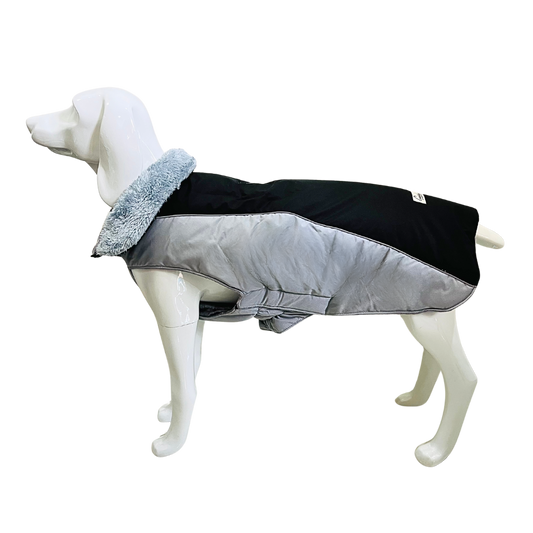 Premium Windproof Dog Jacket