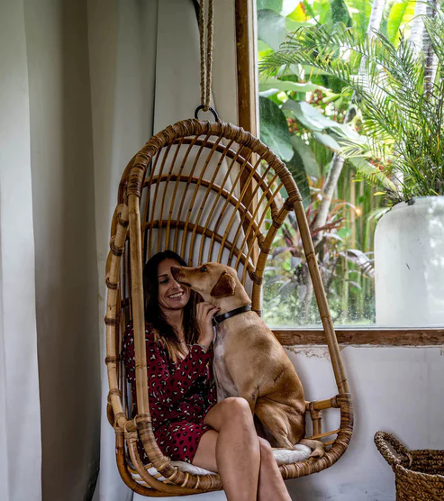 Asmee Handcrafted Bamboo Cane Swing Chair