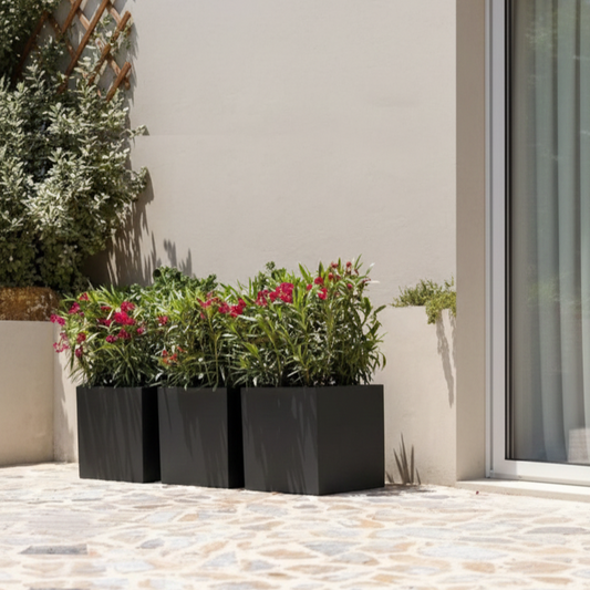 Three black rectangular planters with green plants and red flowers on a stone patio.