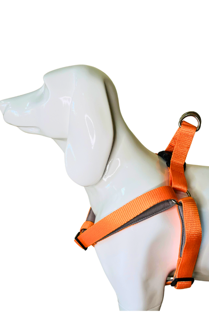 Premium Step-In Dog Harness