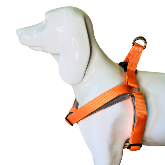 Premium Step-In Dog Harness