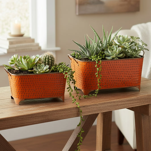 Rectangular Bronze Band Pot Duo 11in & 12in Planters