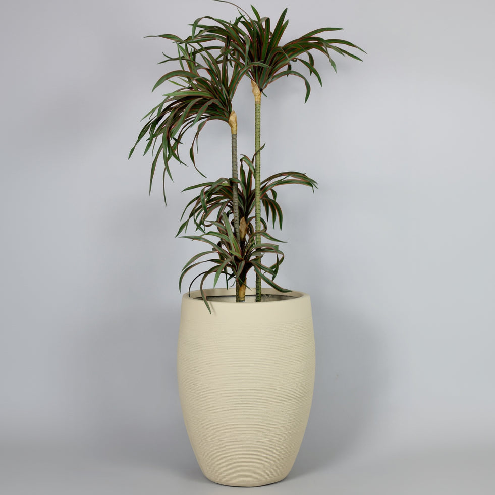 Potted plant in a beige pot on a gray background