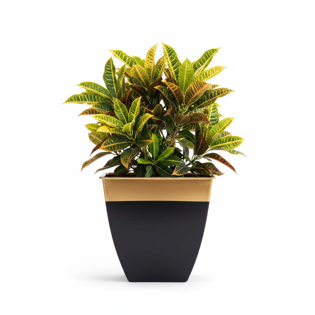 Multicolor Tapered Planter