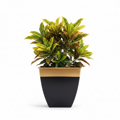 Multicolor Tapered Planter