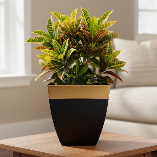 Multicolor Tapered Planter